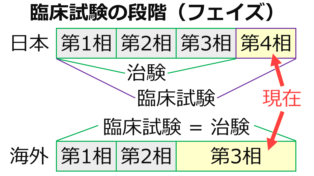 臨床試験の段階の図