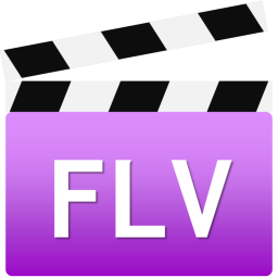 FLVファイル2