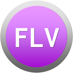FLVファイル1