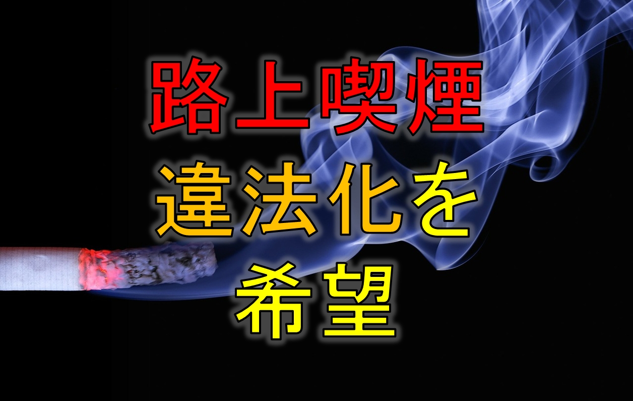 「路上喫煙違法化を希望」……今回の一番の主張です。